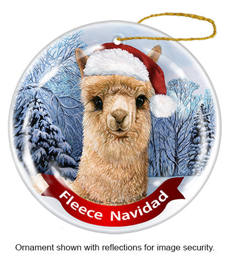 Dear Santa, Define Naughty Christmas Ornaments