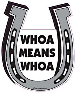 Chompin At The Bit Horseshoe Magnets