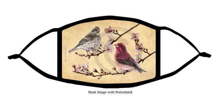 My Feathered Friends Face Masks