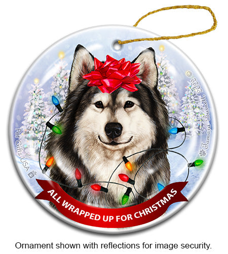 Alaskan Malamute All Wrapped Up Ornament