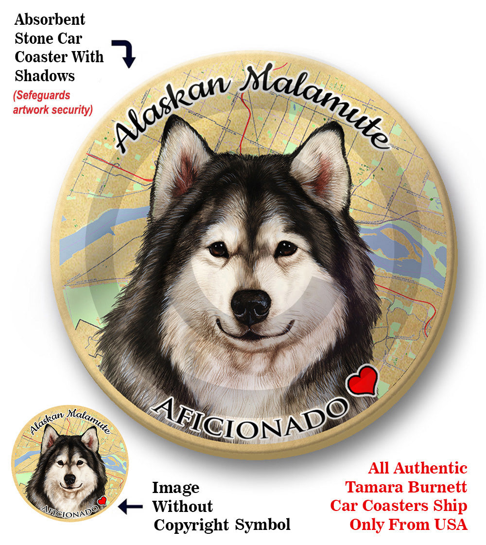 photo of Alaskan Malamute