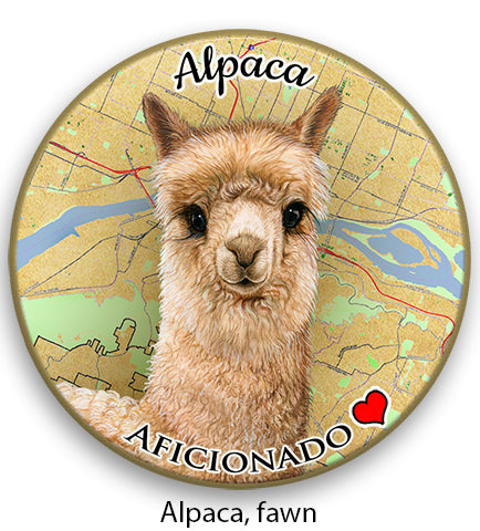 photo of Alpaca