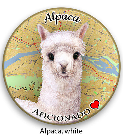 photo of Alpaca