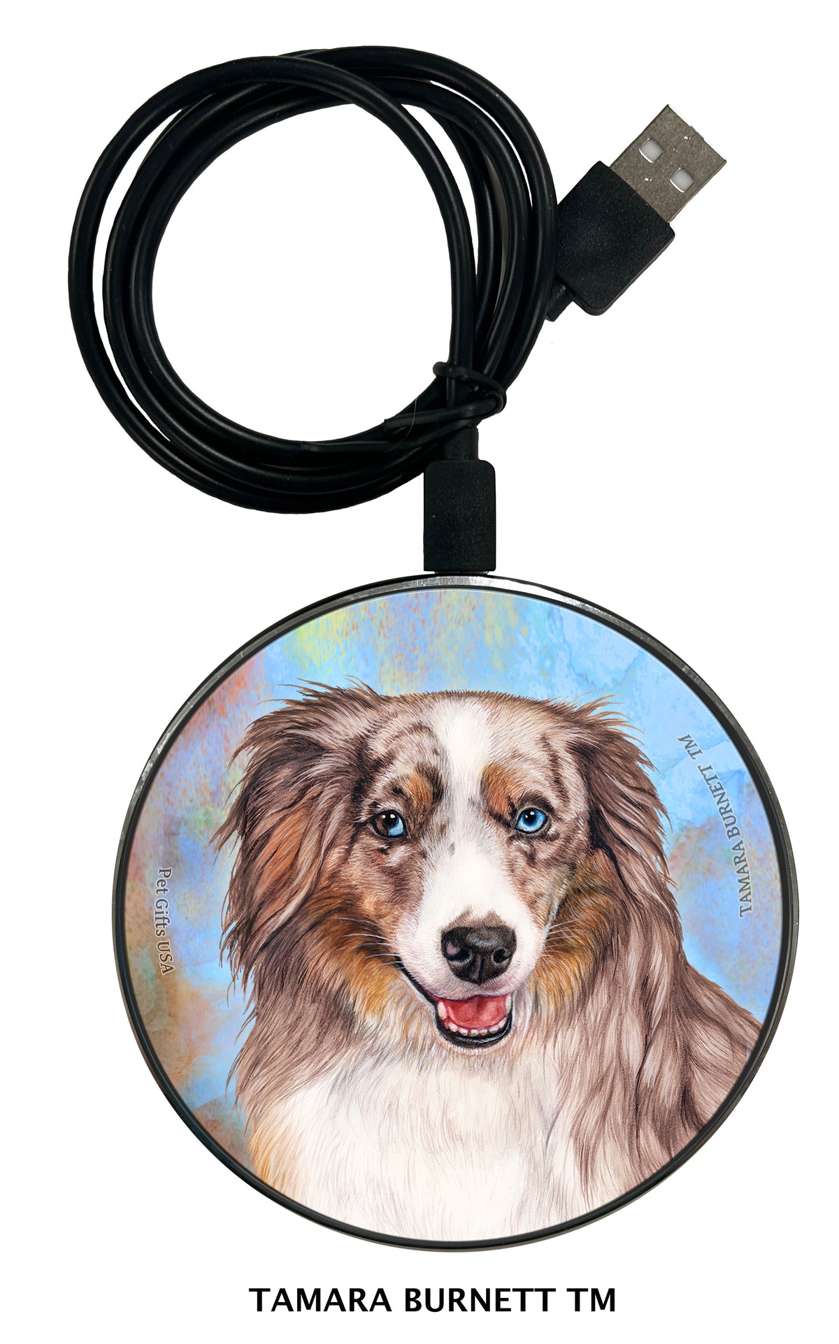 American Shepherd Red Merle (Aussie Mini) Zoomies Wireless Charger