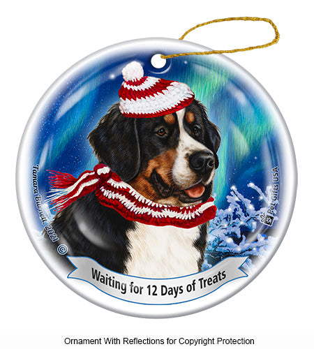 Bernese Mountain Dog 12 Days of Treats Ornament