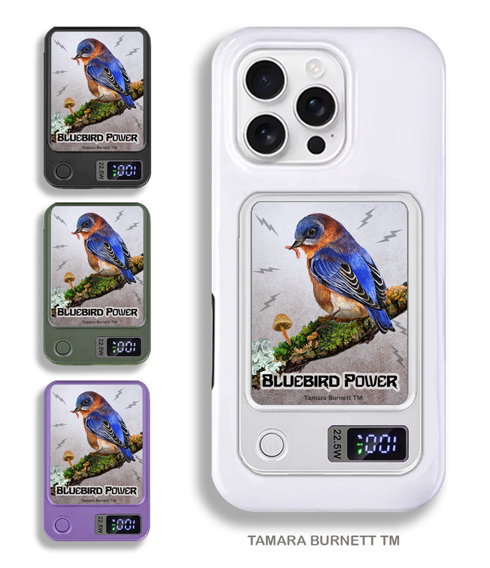 Eastern Bluebird Phone Bank Wireless Charger