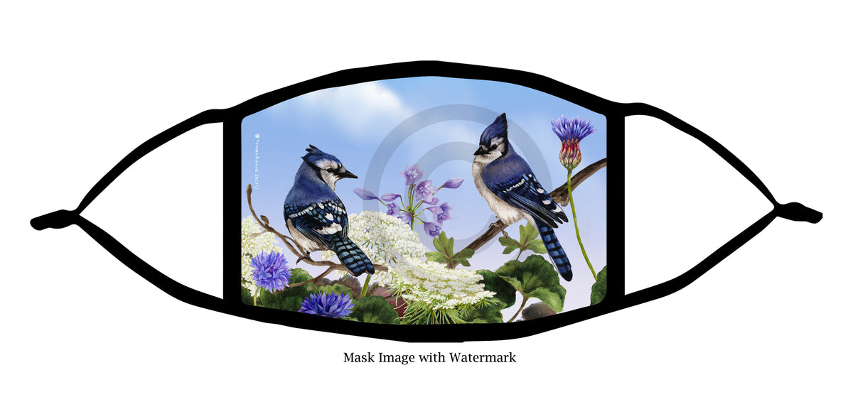 Eastern Blue Jay Face Mask