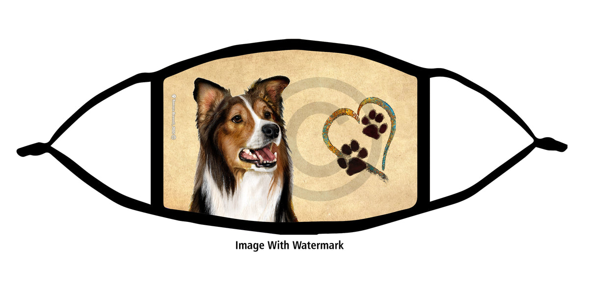 Border Collie (Fawn Sable) Face Mask