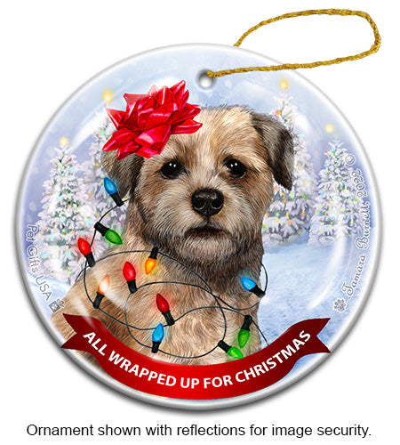 Border Terrier All Wrapped Up Ornament