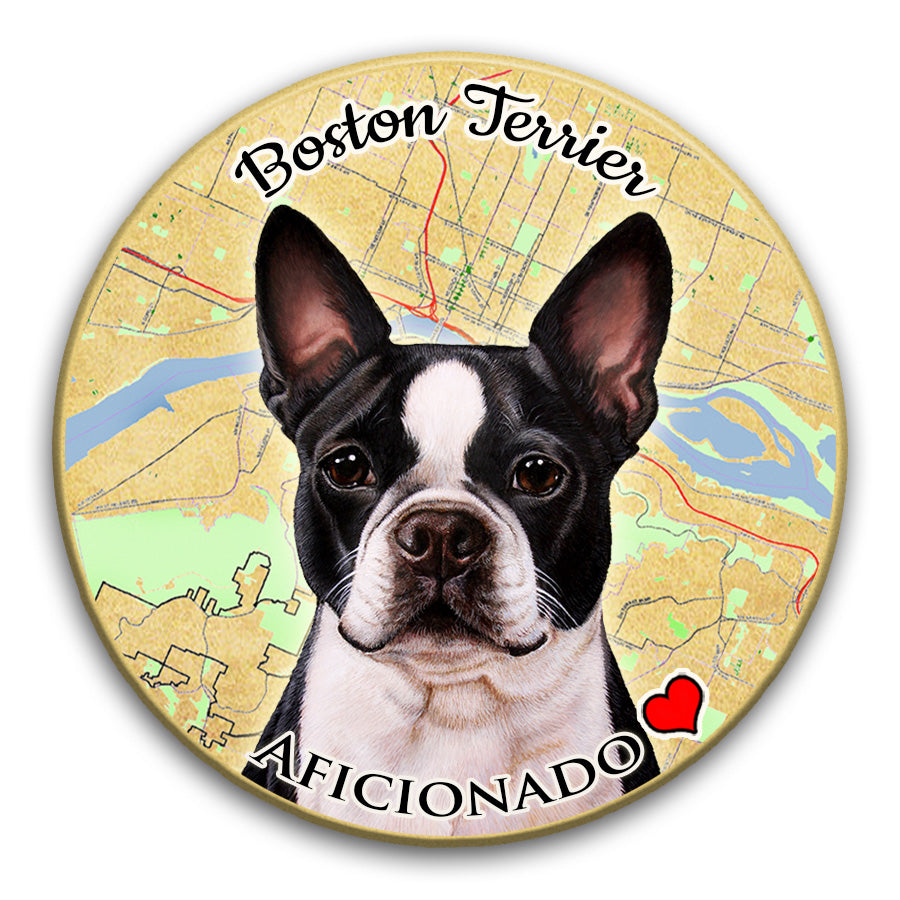 photo of Boston Terrier