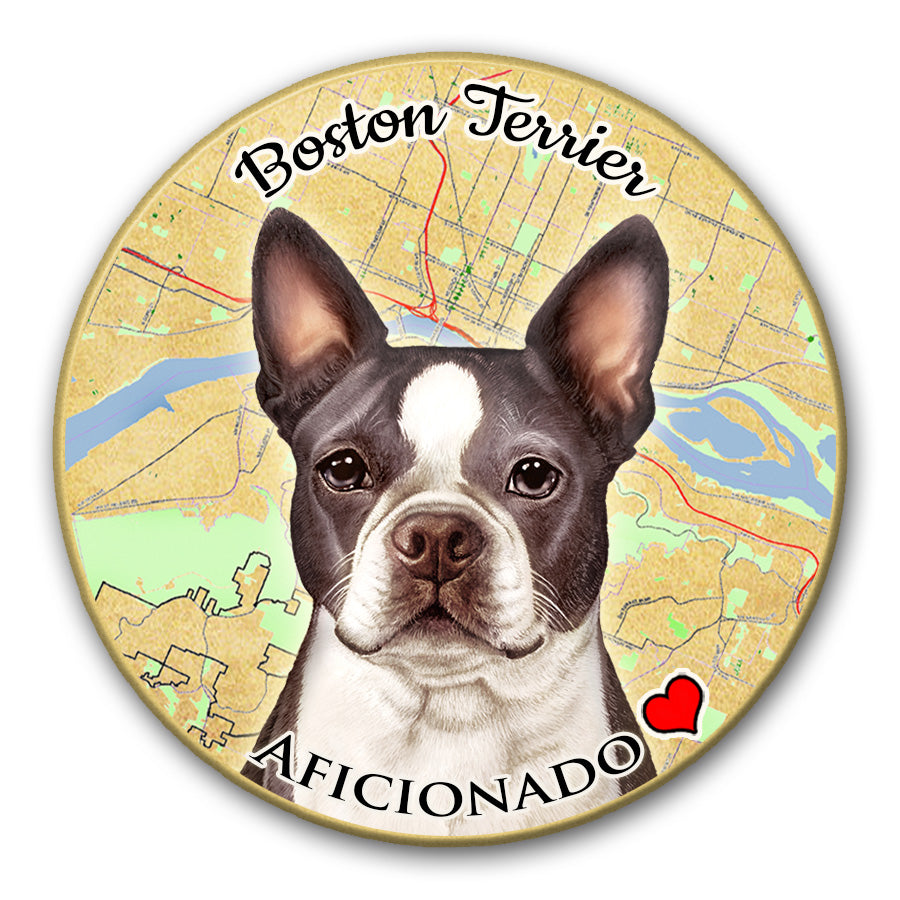 photo of Boston Terrier