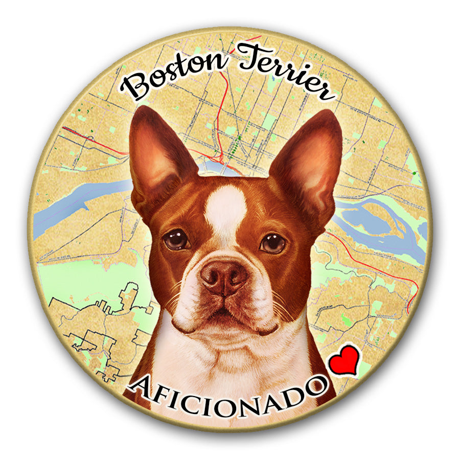 photo of Boston Terrier