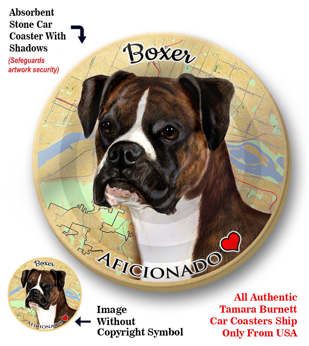 photo of Boxer