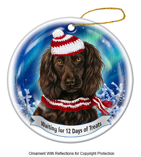 Boykin Spaniel 12 Days of Treats Ornament