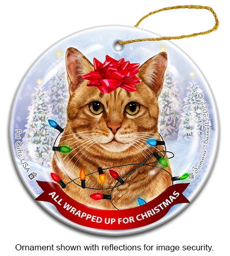 Orange Tabby All Wrapped Up Ornament