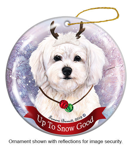 Cavachon White Ornament