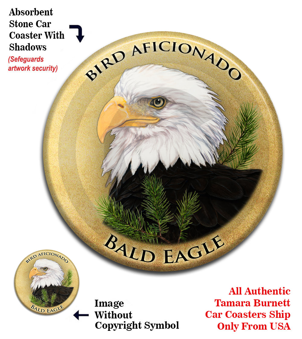 photo of Eagle