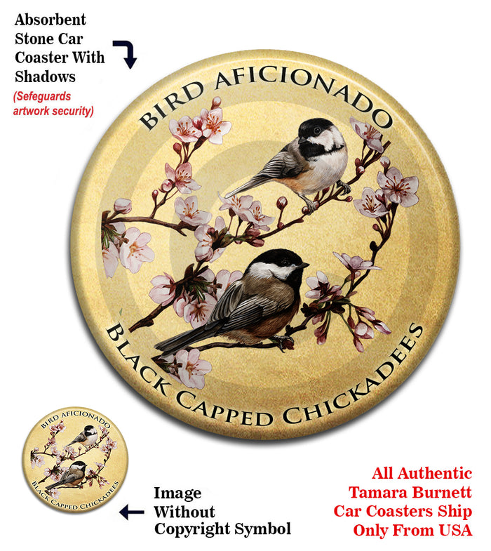 photo of Black Capped Chickadee