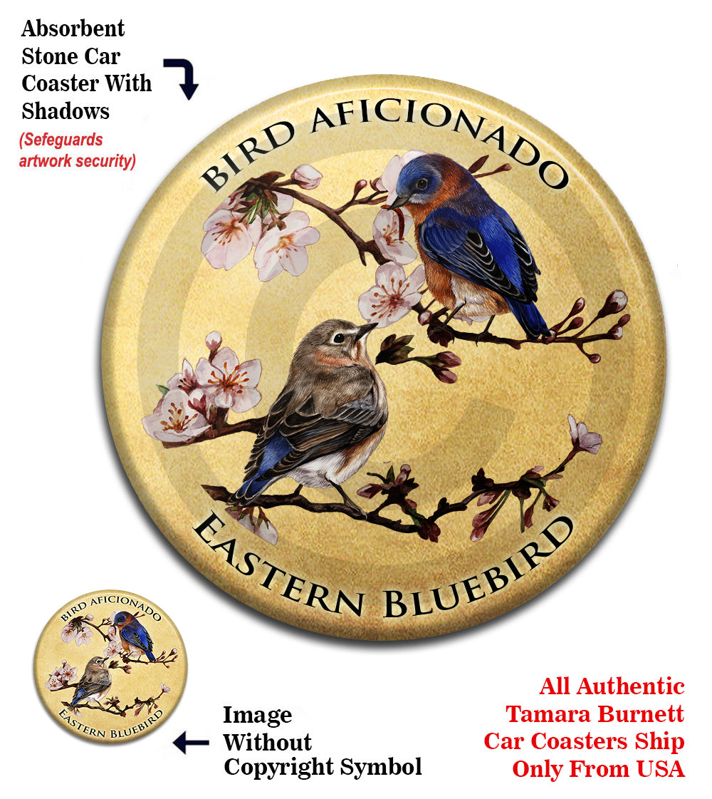 photo of Bluebirds