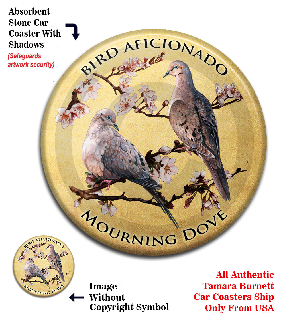 photo of Mourning Doves