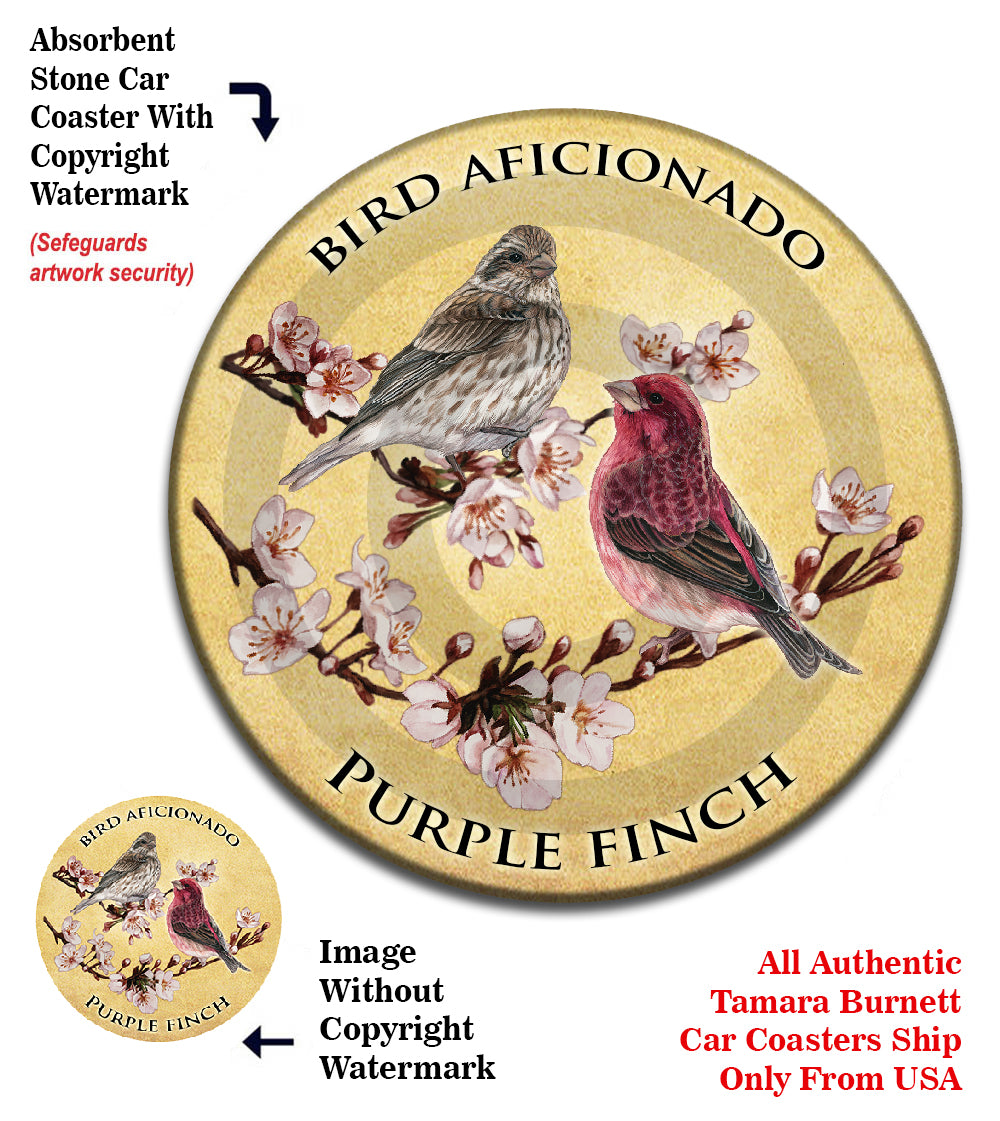 photo of Painted Bunting
