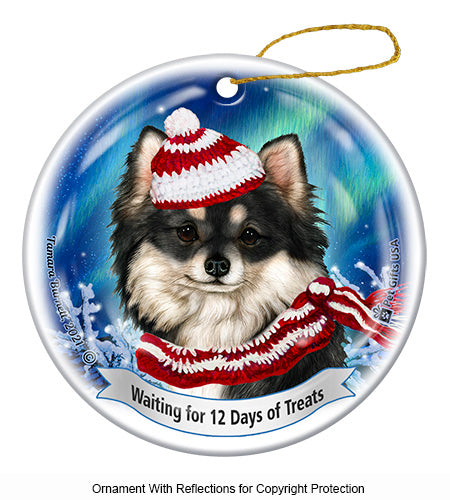 Chihuahua Long Haired Black and White Ornament