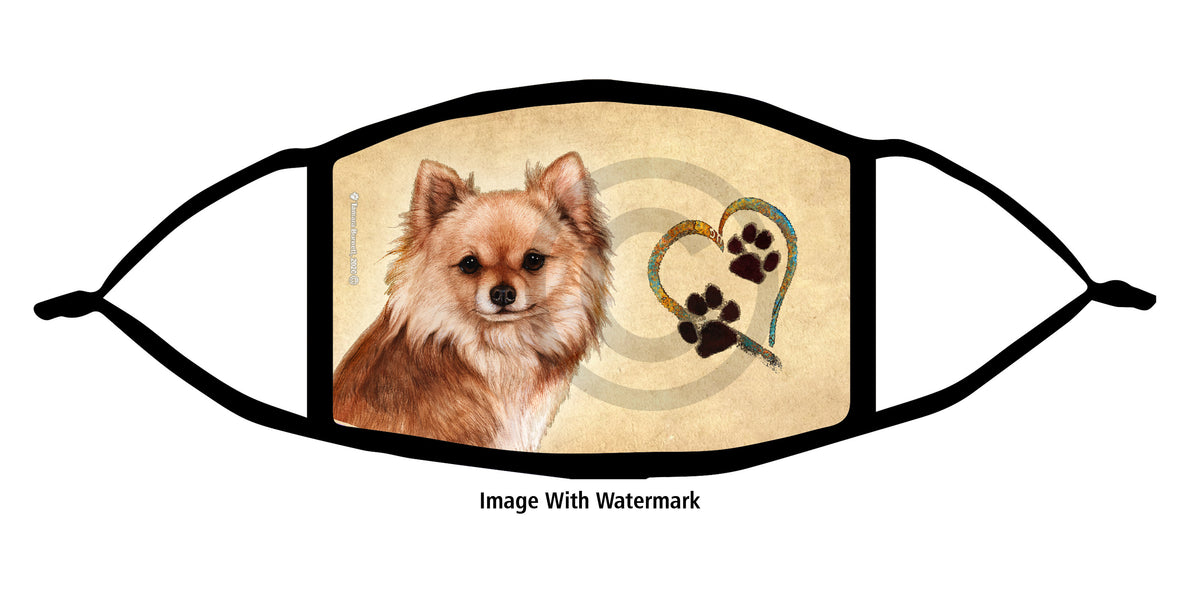 Chihuahua (Shorthair Tricolor) Face Mask