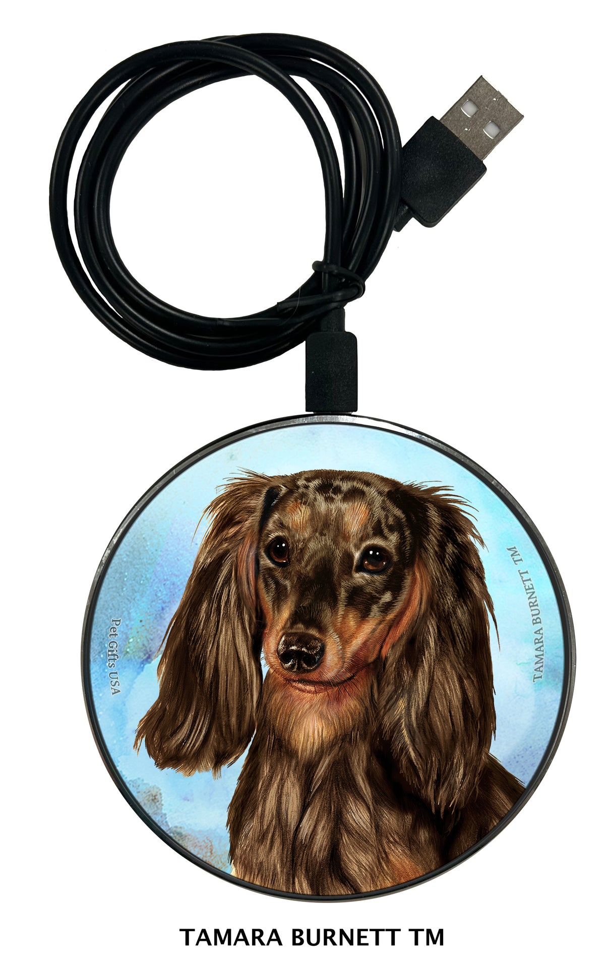 Dachshund Longhair Chocolate Dapple Zoomies Wireless Charger