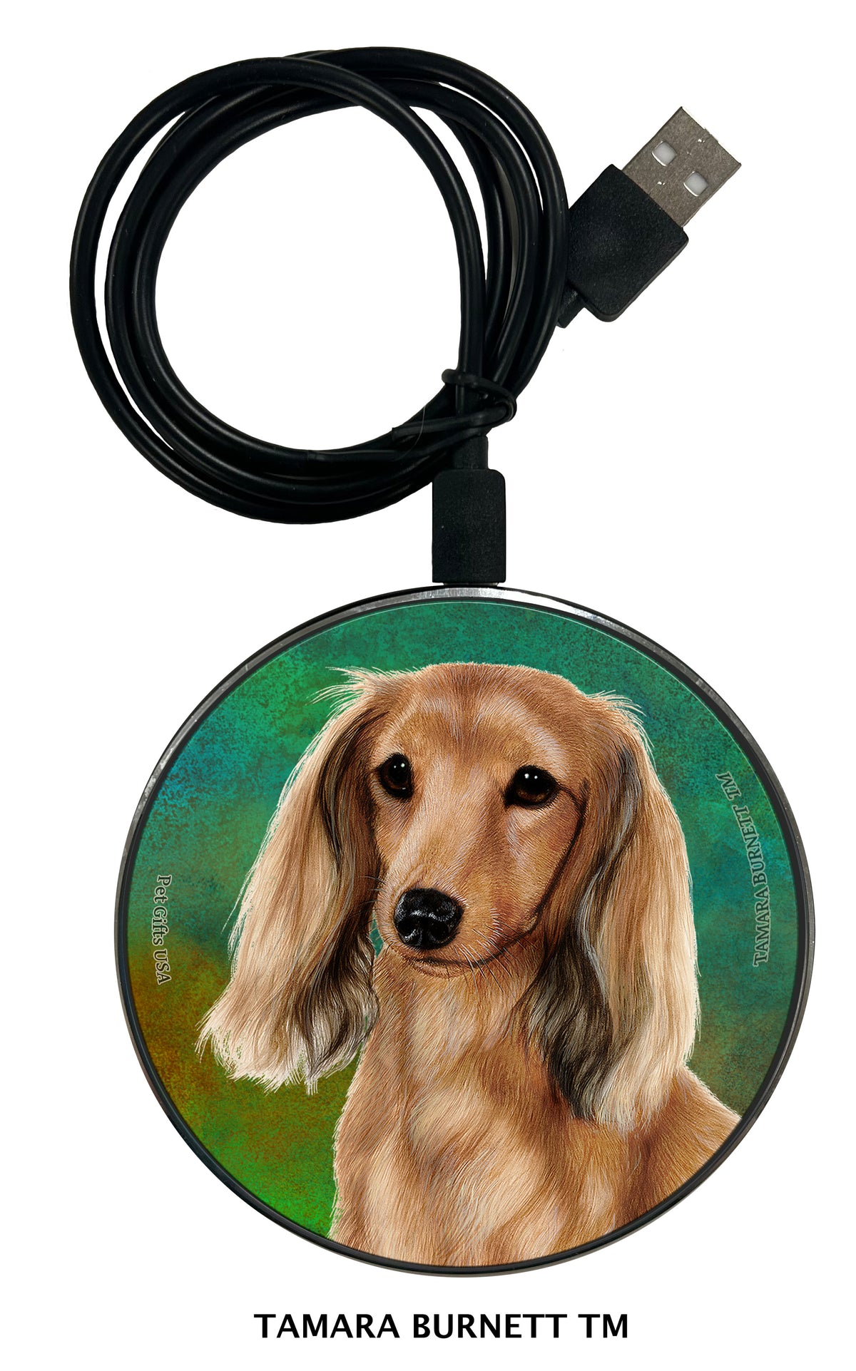 Dachshund Longhair English Cream Zoomies Wireless Charger