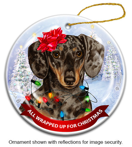 Dachshund Short Hair Dap Chocolate and Tan Ornament