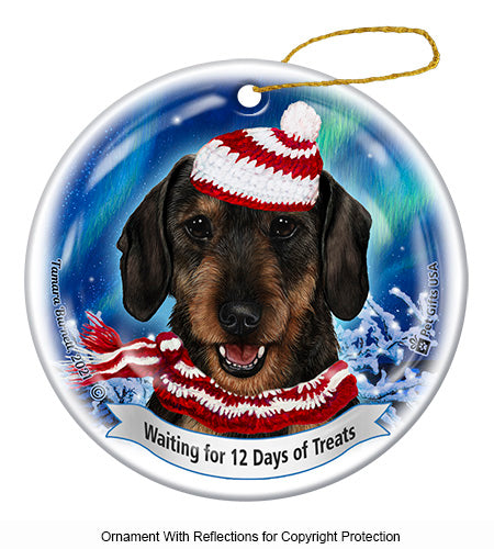 Dachshund WH 12 Days of Treats Ornament