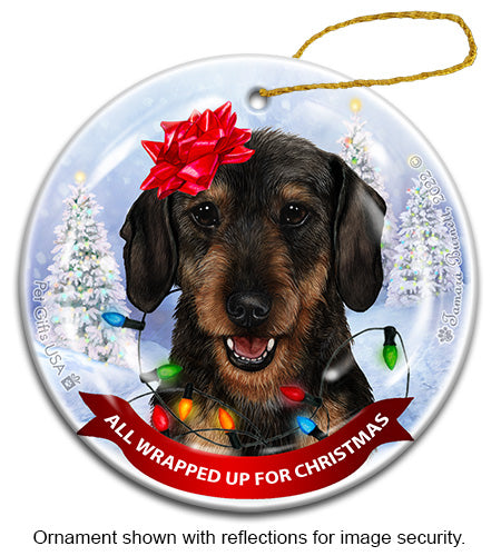 Dachshund Wire Hair All Wrapped Up Ornament