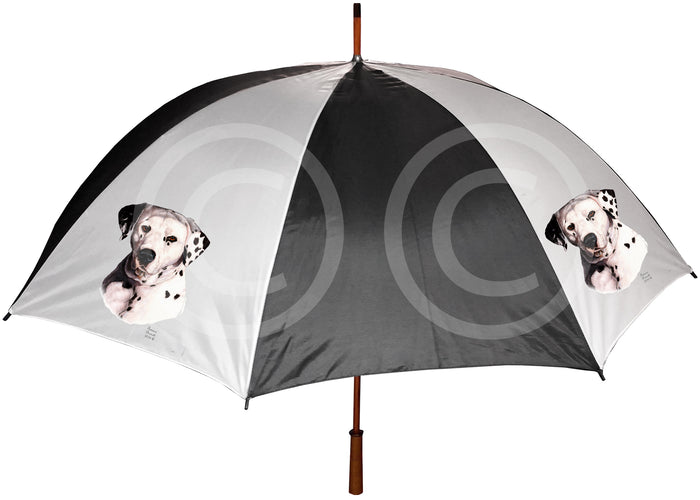 Dalmatian Umbrella