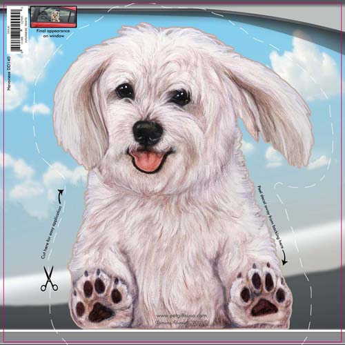 Havanese White Window Cling
