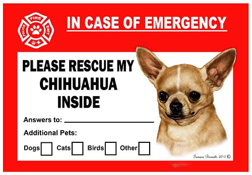 Chihuahua Emergency Cling