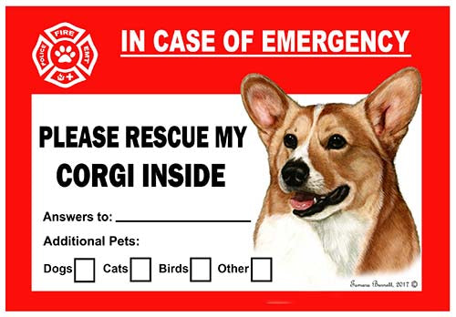 Corgi Emergency Cling