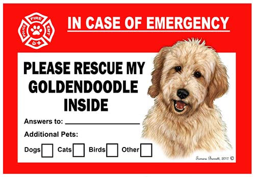 Goldendoodle Emergency Cling