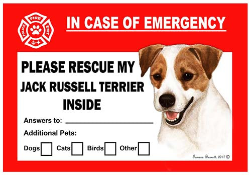 Jack Russell Terrier Emergency Cling