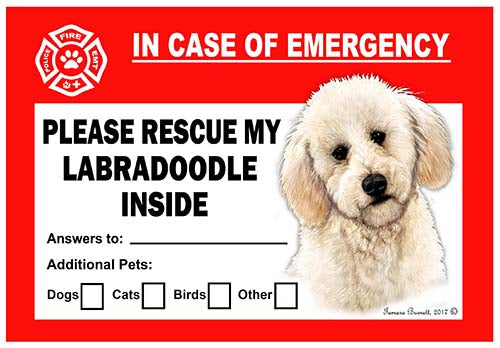 Labradoodle Emergency Cling