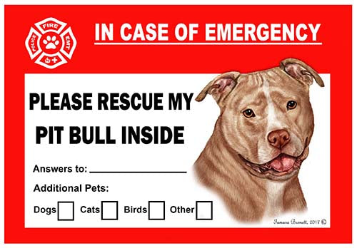 Pit Bull Emergency Cling