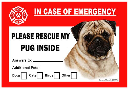Pug Emergency Cling