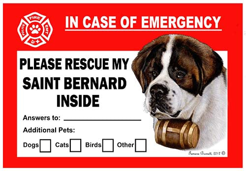Saint Bernard Emergency Cling
