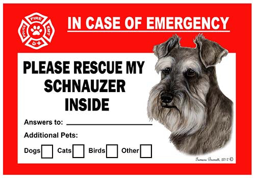 Schnauzer Uncropped Emergency Cling