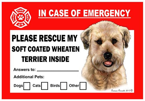 Soft Coated Wheaten Terrier Emergency Cling