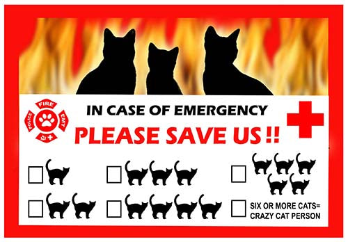 Crazy Cat Person Emergency Cling