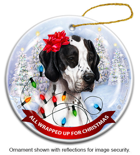 English Pointer All Wrapped Up Ornament