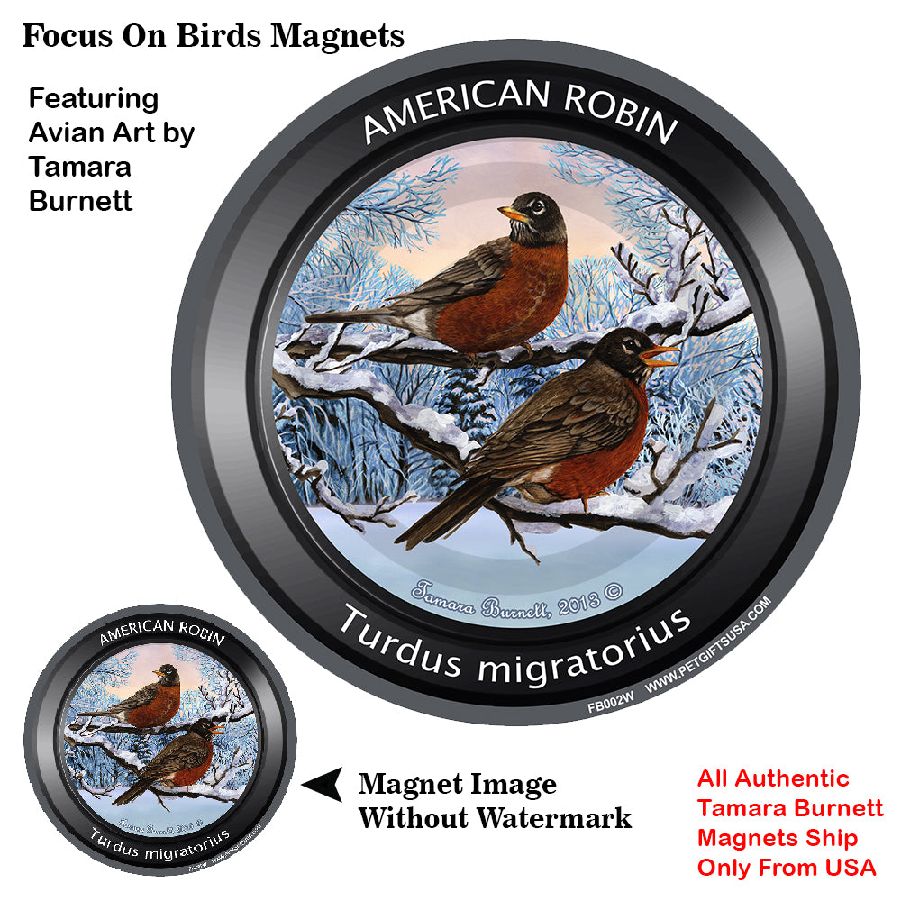 American Robin Bird Watcher Magnets