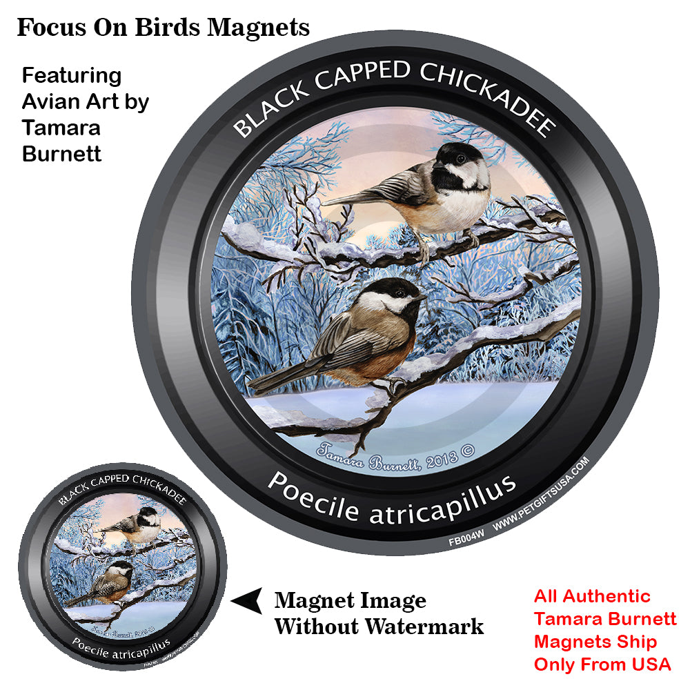Black Capped Chickadee Bird Watcher Magnets