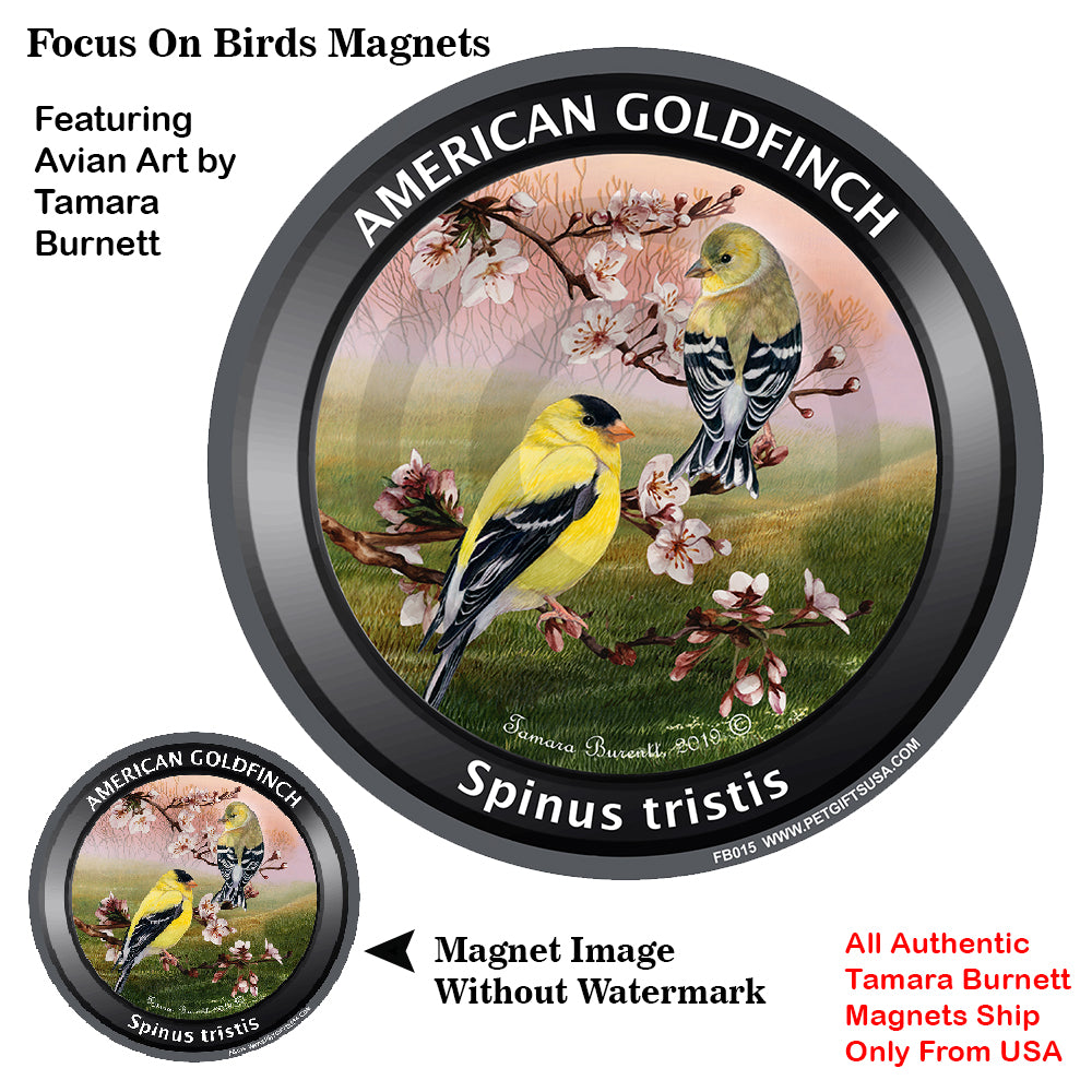 American Goldfinch Bird Watcher Magnets