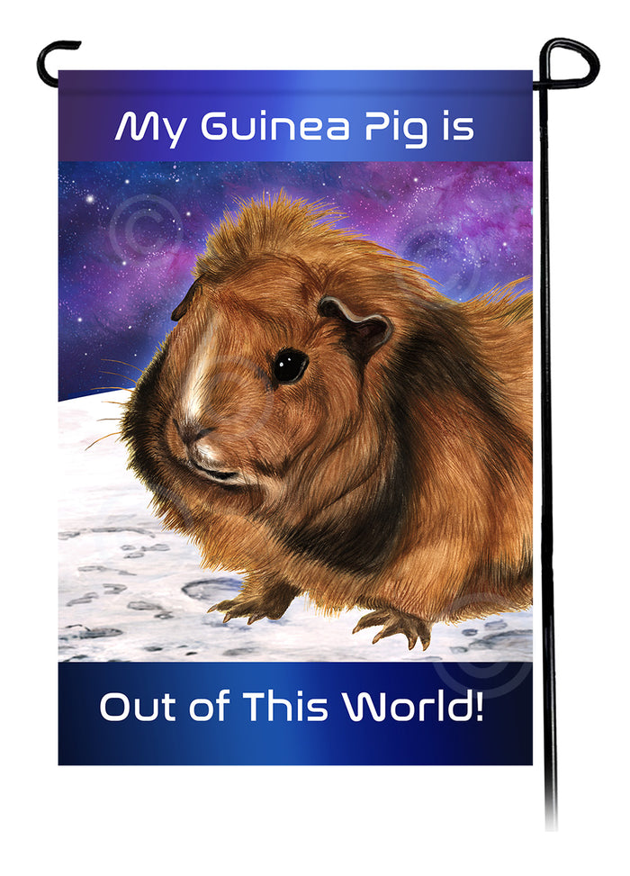 Abyssinian Guinea Pig Out Of This World Garden Flags